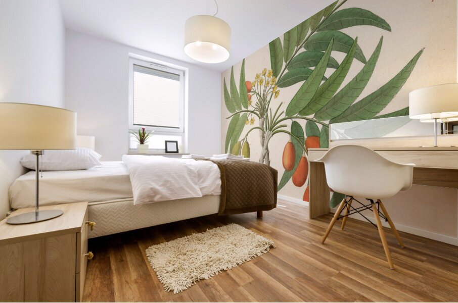 Decandria Mon. [Harpephyllum caffrum] 1817 Mural print