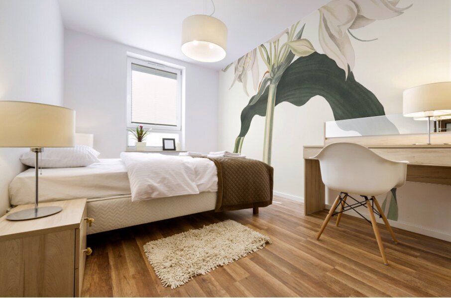 Amaryllis Aulica 1834 Mural print