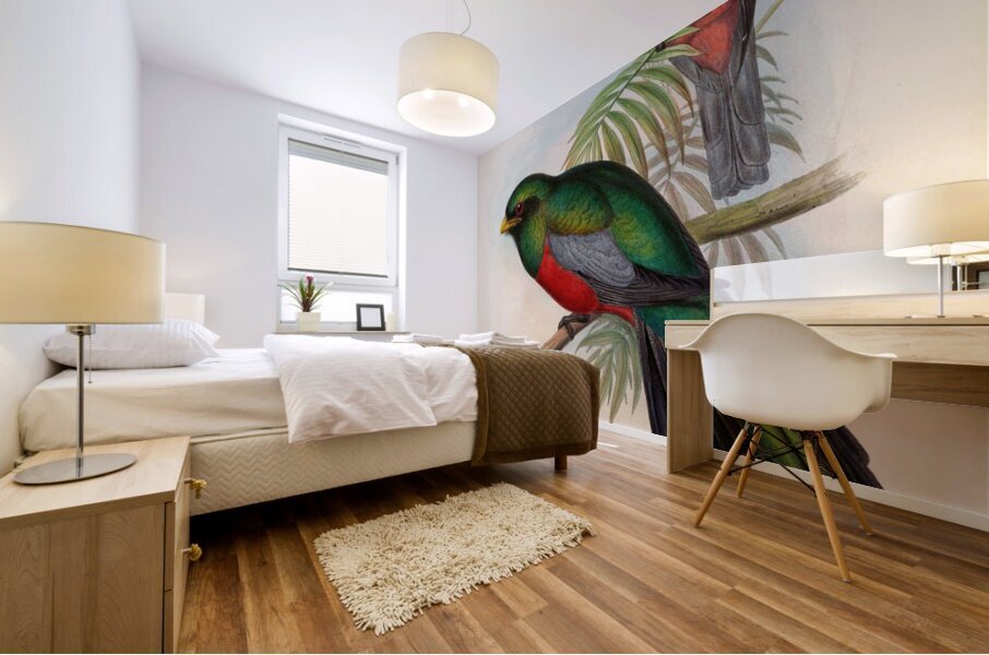John Gould trogons 020 Mural print