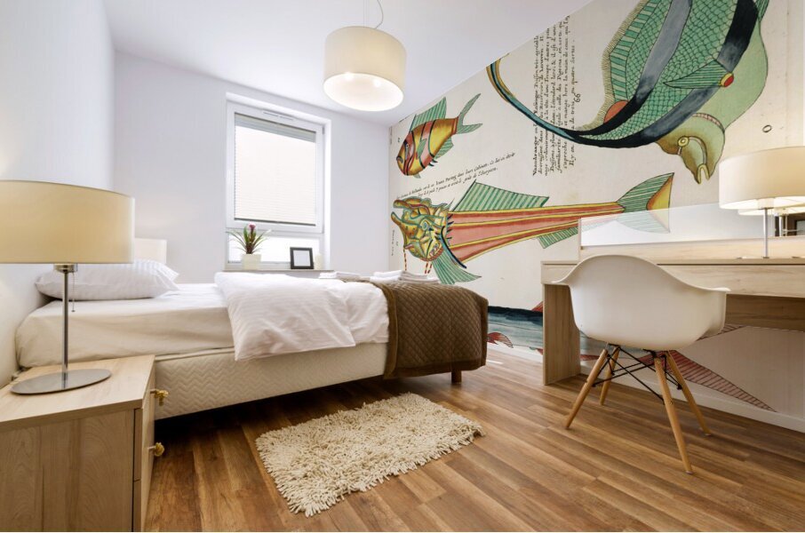 Colourful and surreal illustrations of fishes found in Moluccas Indonesia and the East Indies by Louis Renard 1678 -1746 from Histoire naturelle des plus rares curiositez de la mer des Indes 1754. Mural print