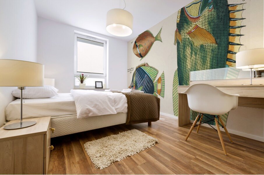 Colourful and surreal illustrations of fishes found in Moluccas Indonesia and the East Indies by Louis Renard 1678 -1746 from Histoire naturelle des plus rares curiositez de la mer des Indes 1754. Mural print