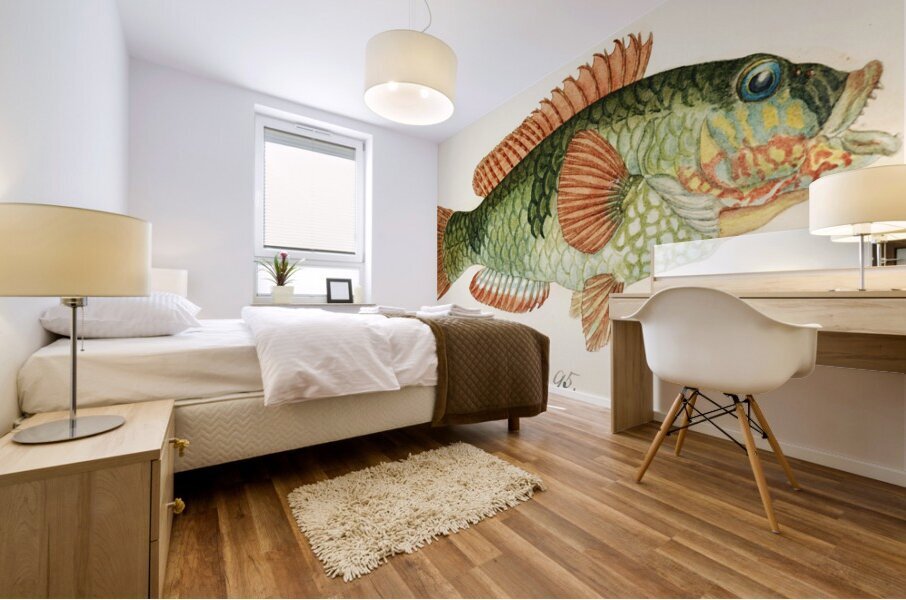 Antique fish Labrida South Pacific Fishes by Frank Edward Clarke 1849-1899.  Mural print