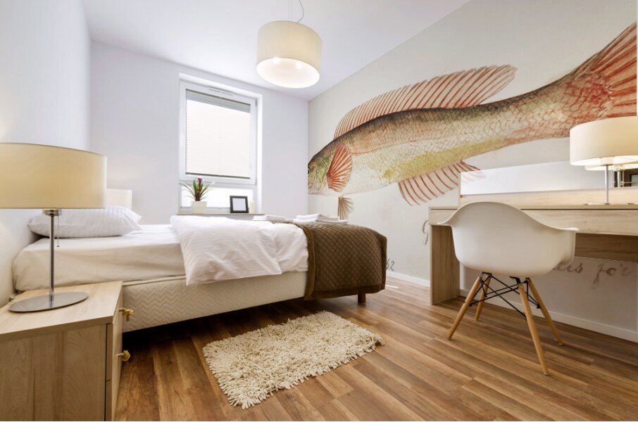 Antique fish South Pacific Fishes by Frank Edward Clarke 1849-1899.  Mural print