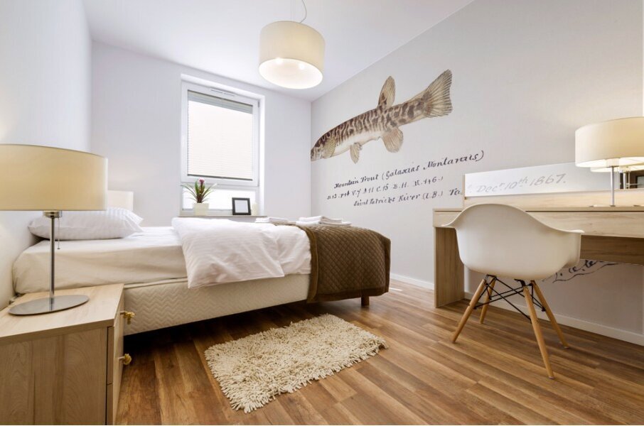 Antique fish galaxias olidus mountain trout South Pacific Fishes by Frank Edward Clarke 1849-1899.  Mural print