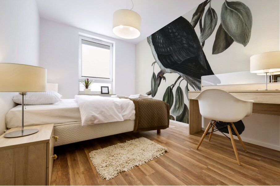 Top-Knot Pigeon Lopholaimus Antarcticus illustrated by Elizabeth Gould 1804–1841 for John Gould’s 1804-1881 Birds of Australia  Mural print