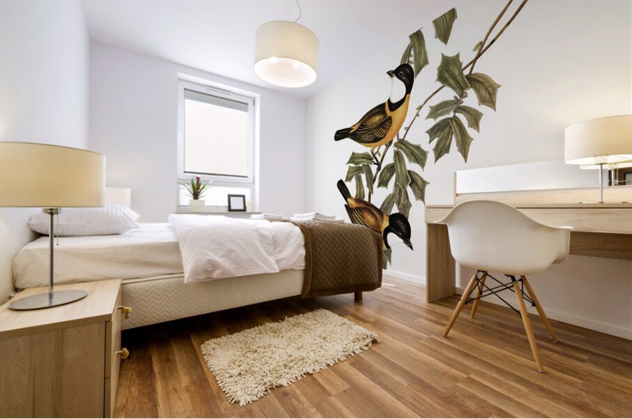 Black-tailed Pachycephala Pachycephala melanura illustrated by Elizabeth Gould 1804–1841 for John Gould’s 1804-1881 Birds of Australia  Mural print