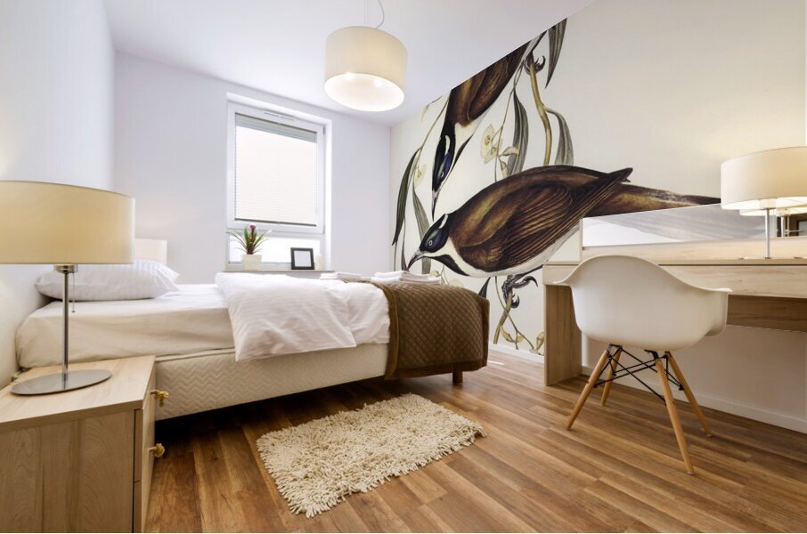 Blue-faced Entomyza Entomyza cyanotis illustrated by Elizabeth Gould 1804–1841 for John Gould’s 1804-1881 Birds of Australia  Mural print