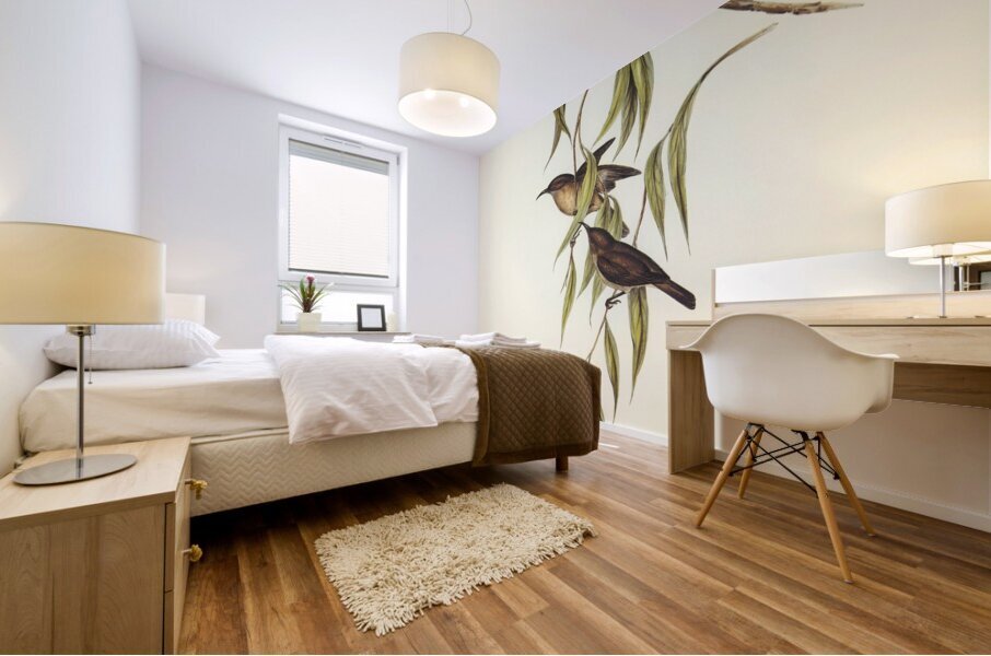 Obscure Honey-eater Myzomela obscura illustrated by Elizabeth Gould 1804–1841 for John Gould’s 1804-1881 Birds of Australia  Mural print