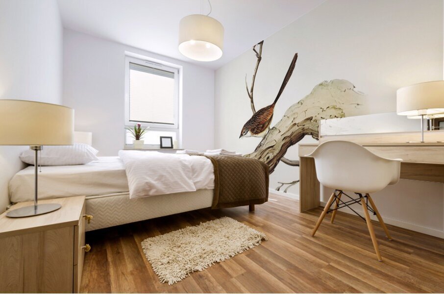 Striated Wren Amytis striatus illustrated by Elizabeth Gould 1804–1841 for John Gould’s 1804-1881 Birds of Australia  Mural print