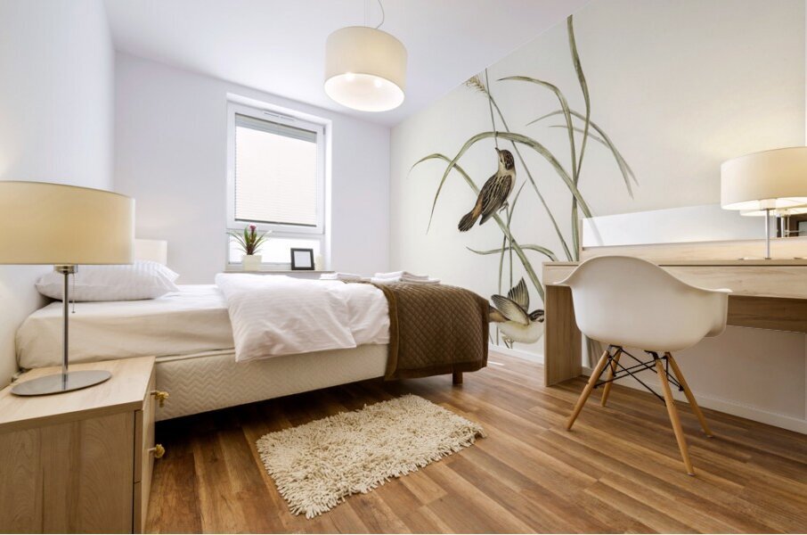 Square-tailed Warbler Cysticola isura illustrated by Elizabeth Gould 1804–1841 for John Gould’s 1804-1881 Birds of Australia  Mural print