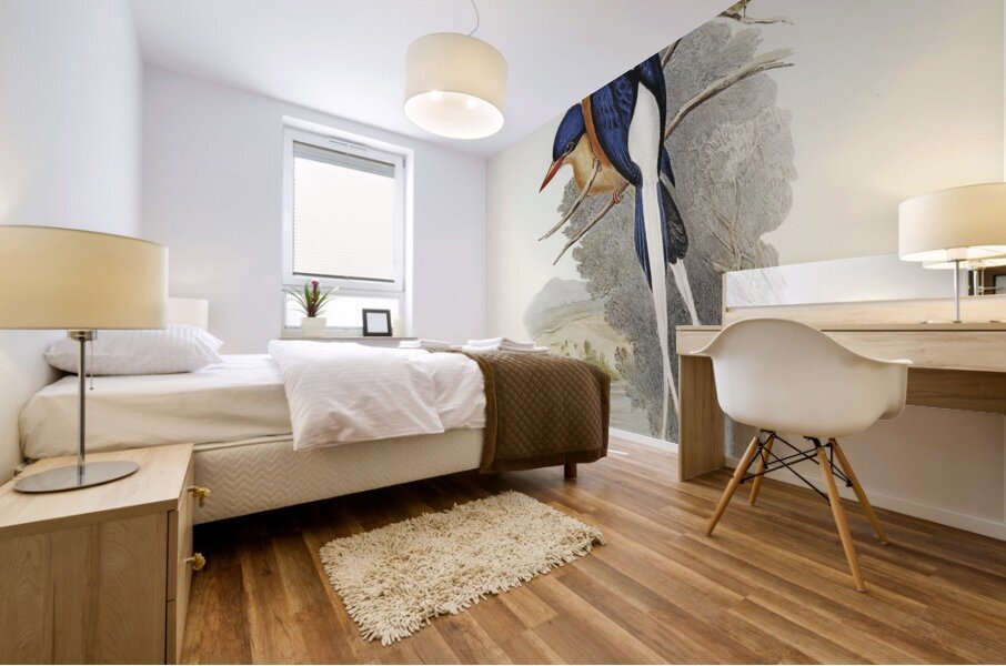 White-tailed Tanysiptera Tanysiptera Sylvia illustrated by Elizabeth Gould 1804–1841 for John Gould’s 1804-1881 Birds of Australia  Mural print