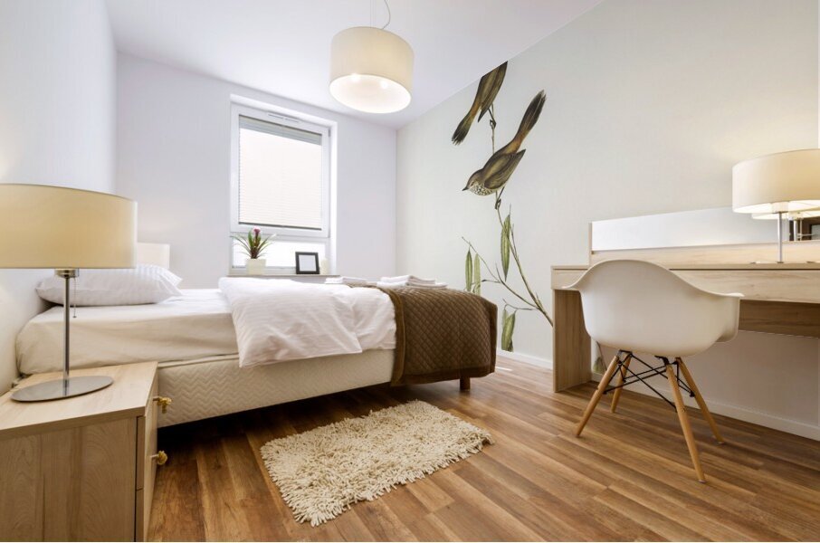 Western Acanthiza Acanthiza apicalis illustrated by Elizabeth Gould 1804–1841 for John Gould’s 1804-1881 Birds of Australia  Mural print