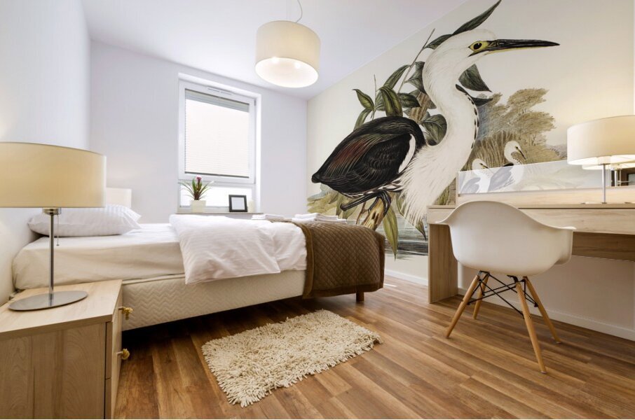 Pacific Heron Ardea pacifica illustrated by Elizabeth Gould 1804–1841 for John Gould’s 1804-1881 Birds of Australia  Mural print