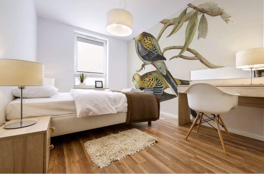 Pale-headed Parakeet Platycercus palliceps illustrated by Elizabeth Gould 1804–1841 for John Gould’s 1804-1881 Birds of Australia  Mural print