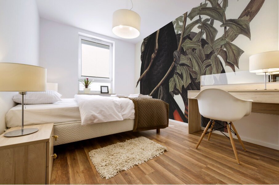 Western Black Cockatoo Calyptorhynchus naso illustrated by Elizabeth Gould 1804–1841 for John Gould’s 1804-1881 Birds of Australia  Mural print