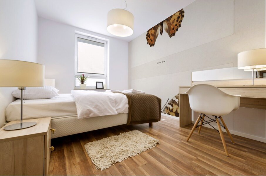 Painted Lady Pyrameis Cardui from Moths and butterflies of the United States 1900 by Sherman F. Denton 1856-1937.  Mural print