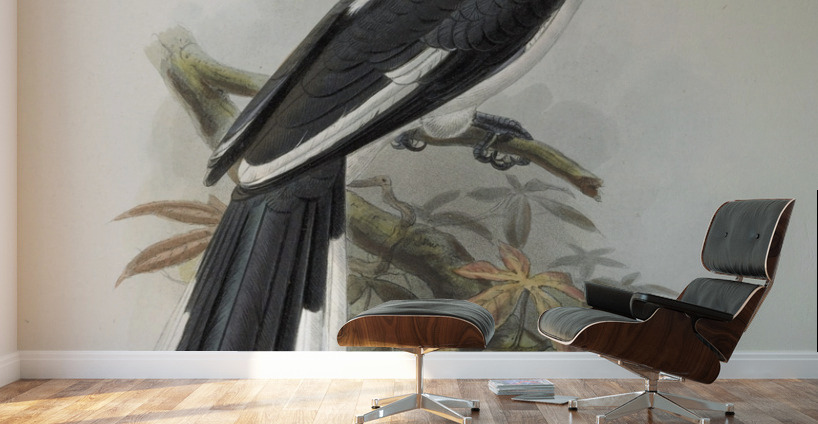 Tockus deckeni 1882 Wall Murals