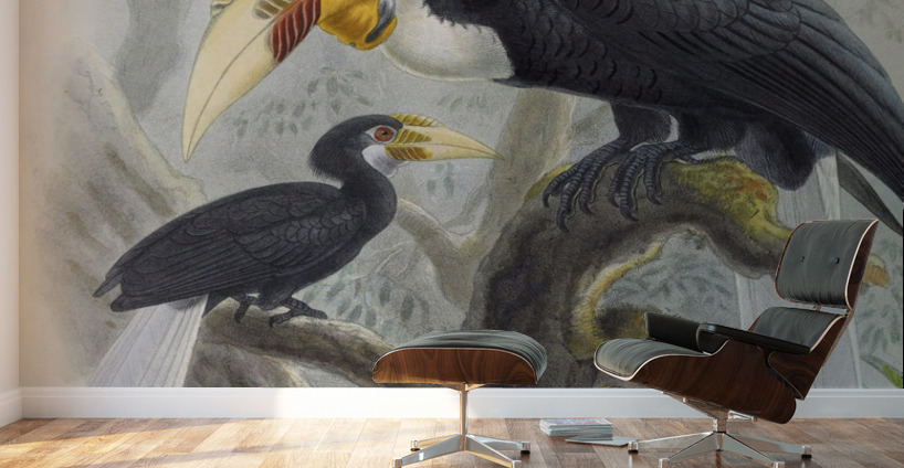 Rhytidoceros undulatus 1882 Wall Murals