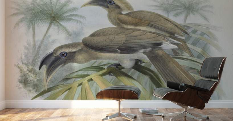 Lophoceros birostris 1882 Wall Murals