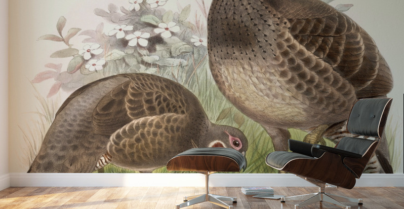 Tetraophasis obscurus. 1872 Wall Murals