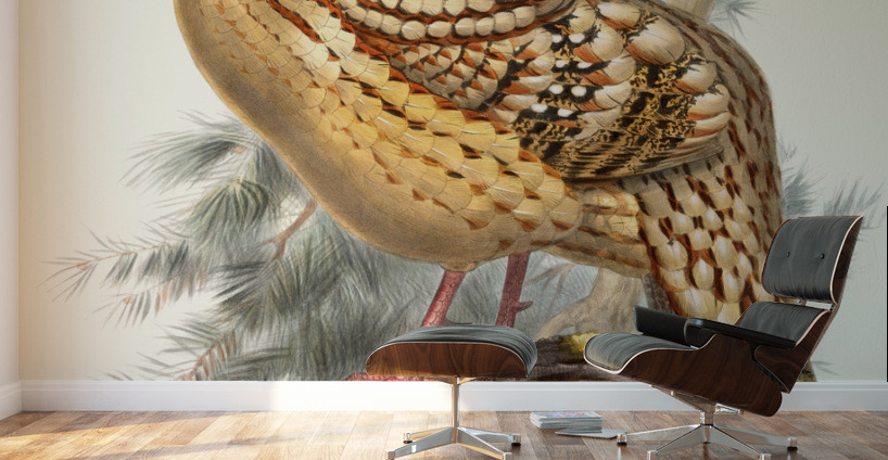 Ceriornis Caboti. 1872 Wall Murals