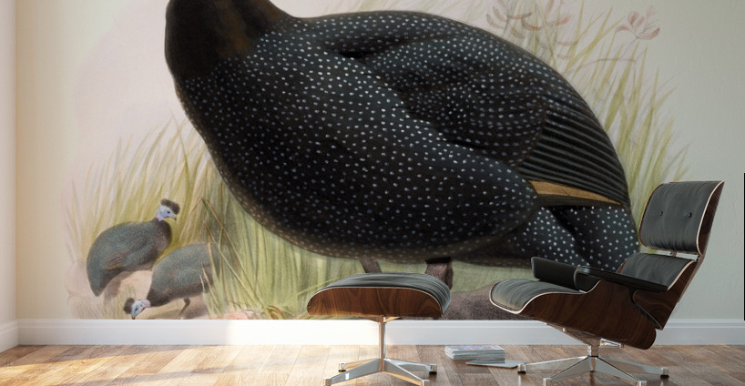 Numida cristata. 1872 Wall Murals