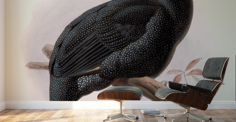 Numida Pucherani. 1872 Wall Murals