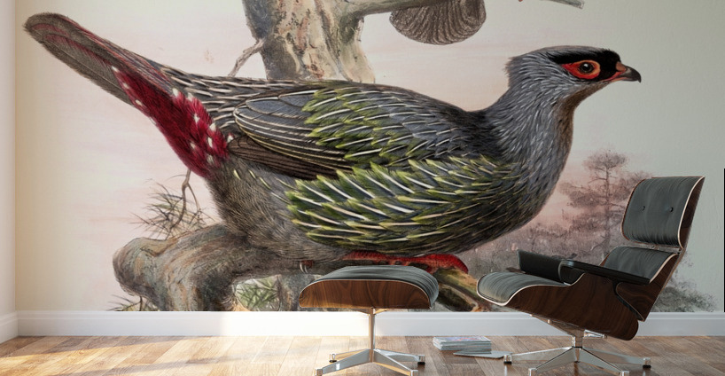 Ithaginis Geoffroyi. 1872 Wall Murals