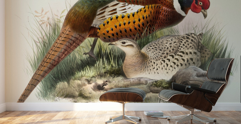 Phasianus mongolicus. 1872 Wall Murals