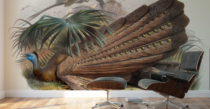 Argus giganteus. 1872 Wall Murals