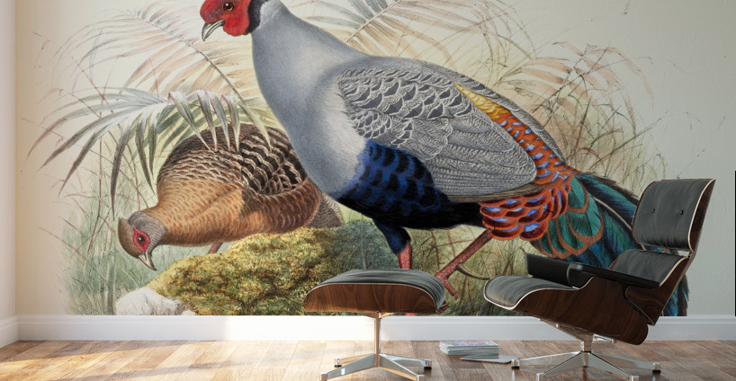 Euplocamus prælatus. 1872 Wall Murals