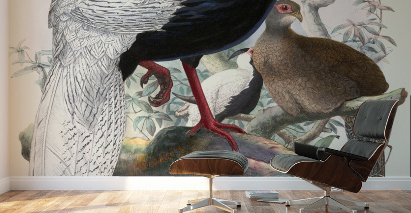 Euplocomus nycthemerus. 1872 Wall Murals