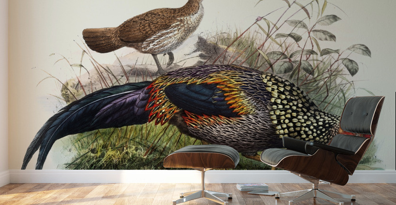 Gallus Sonneratii. 1872 Wall Murals