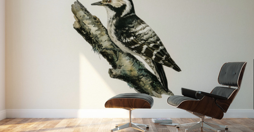 Dryobates minor Wall Murals