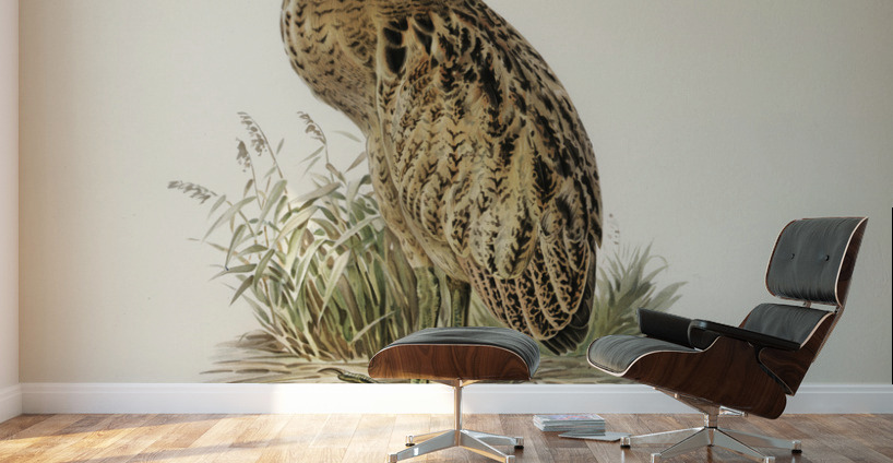 Bittern Botaurus stellaris Wall Murals