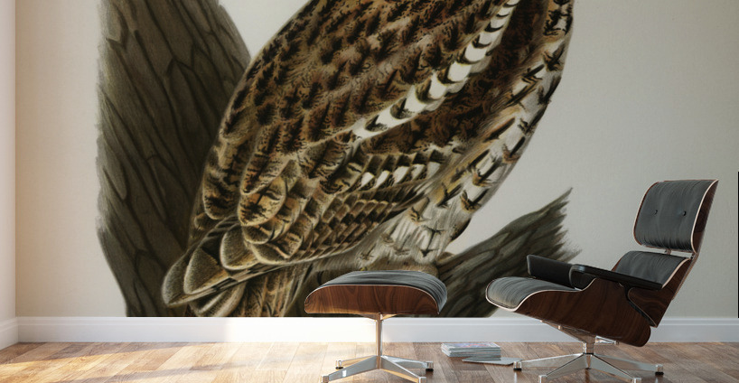 Little gull Larus minutus Wall Murals