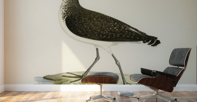 Green Sandpiper Totanus ochropus Wall Murals