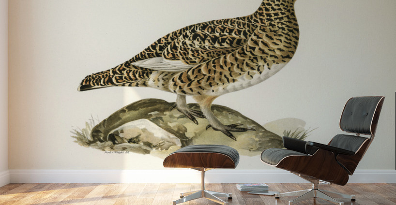 Water pipi ANTHUS SPINOLETTA RUPESTRIS Wall Murals