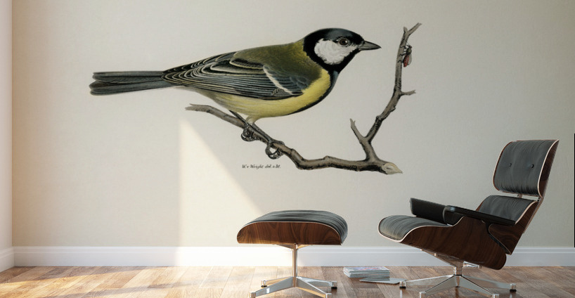 Talgoxe PARUS MAJOR LIN. Wall Murals