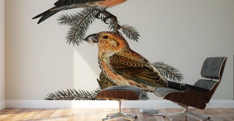 Common Buzzard BUTEO BUTEO Wall Murals