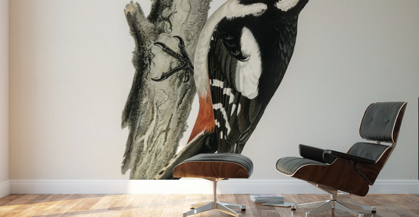 Great spotted woodpecker-male Dryobates major Wall Murals