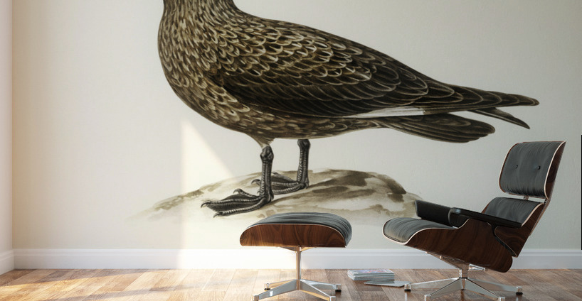 Great skua Stercorarius skua Wall Murals