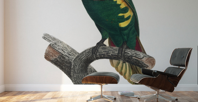 Blue-headed pied lorikeet  Wall Murals