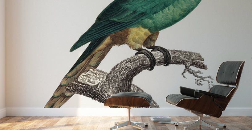 Blue-fronted amazon  Wall Murals