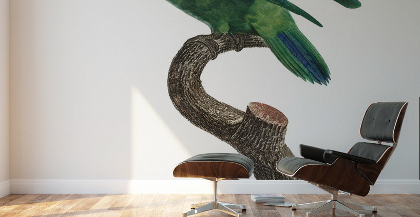 Sumba lorikeet  Wall Murals