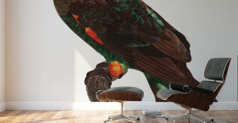Uncape parrot  Wall Murals