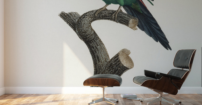 Swift parrot  Wall Murals