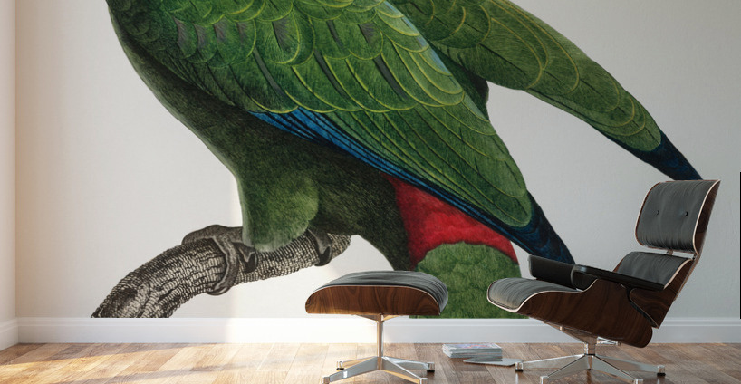 Festive parrot  Wall Murals