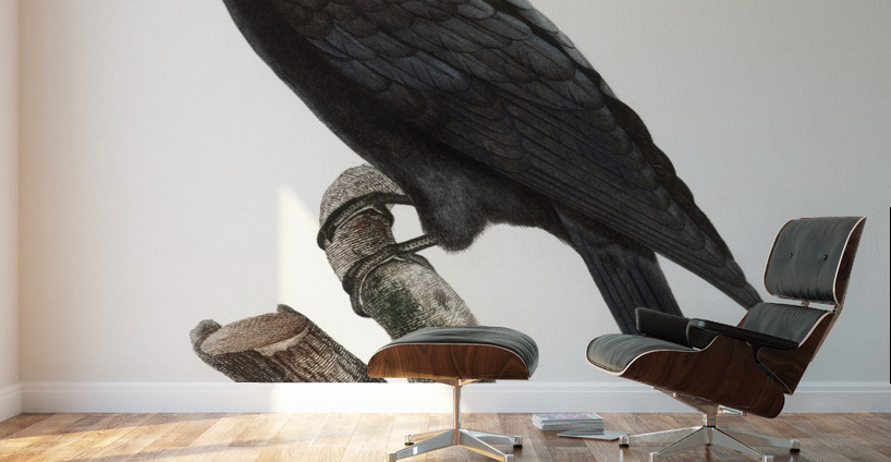 Greater vasa parrot  Wall Murals