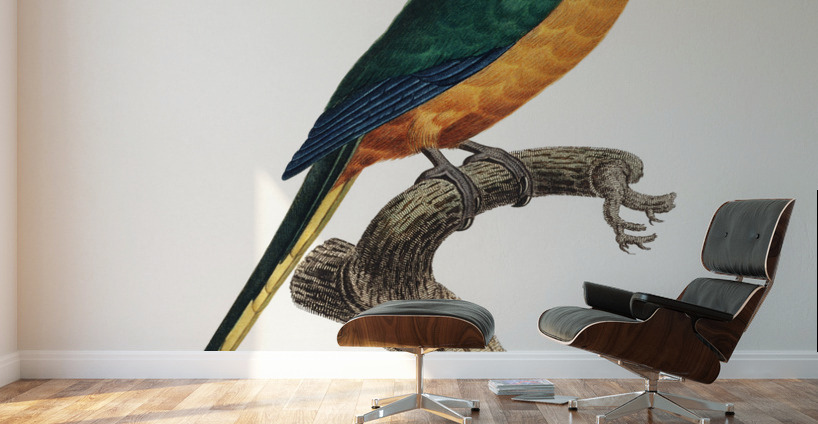 Yellow-fronted parakeet  Wall Murals